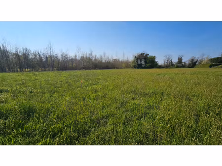 lafox 47240 terrain constructible 1004m2