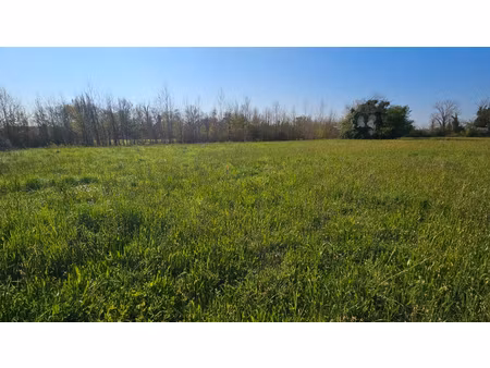 lafox 47240 terrain constructible 982 m2