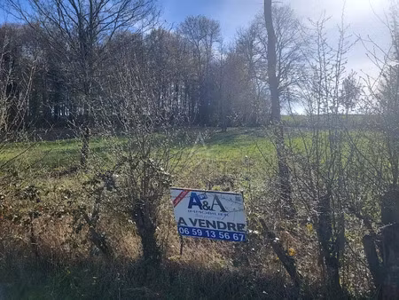 vente terrain 3874 m² à montmort-lucy (51270)  147 000 €