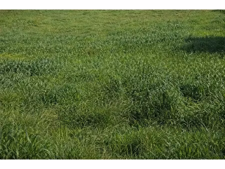 vente terrain 500 m² à grasse (06130)  239 000 €