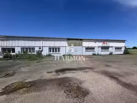 vente locaux professionnels 0 pièces 900 m² à mourenx (64150)  450 000 €