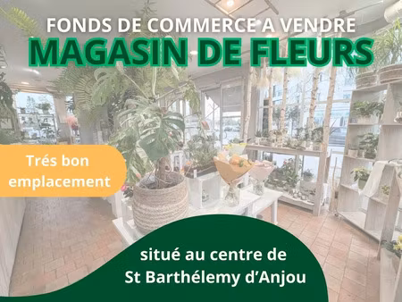 vente locaux professionnels 97 m² à saint-barthélemy-d'anjou (49124)  66 500 €