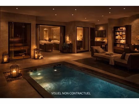 vente locaux professionnels 1 pièce 250 m² à saint-françois (97118)  187 000 €