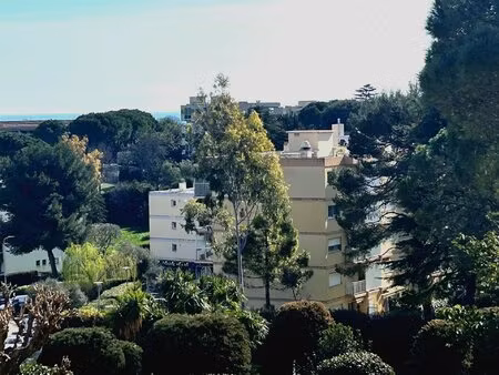 appartement à vendre antibes
