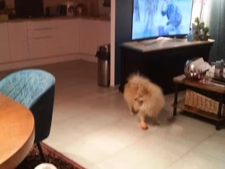 location meublée chambre 1 pièce 12 m² à marignane (13700)  400 €