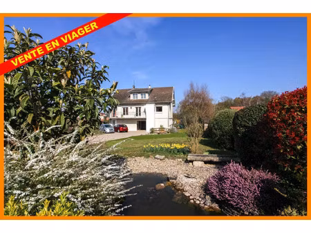 vente maison 5 pièces 97 m² pizay (01120)