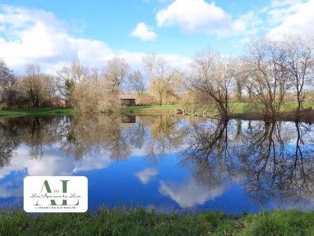 terrain boisé avec étang  île et chalet en bois