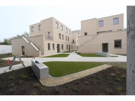 nieuwbouwproject nexuss schelle