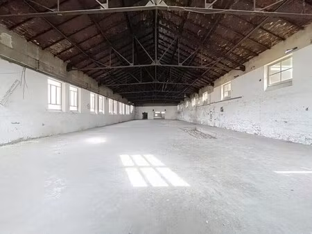 location local d’activités fleurieu sur saone 69250 1460m²