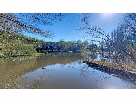 vente terrain à essarts-en-bocage (85140) : à vendre / 13084m² essarts-en-bocage