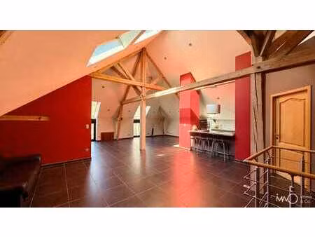 magnifique duplex à buzenol