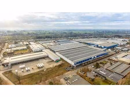 espace d'entrepôt à louer : industriepark-west sint-niklaas