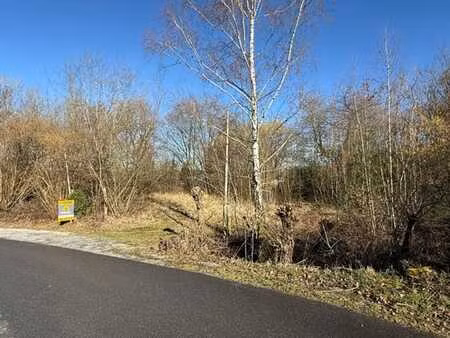 terrain constructible sur les hauteurs de heyd (durbuy)