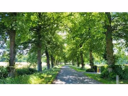 magnifique terrain à serville faire offre à partir de 60000€