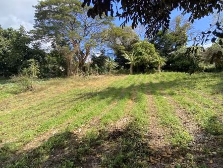 terrain constructible à vendre