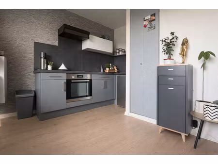 appartement besancon 1 pièce 31.55 m2