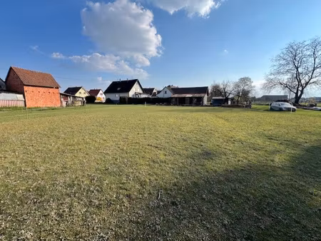 grand terrain à bâtir au calme à schleithal