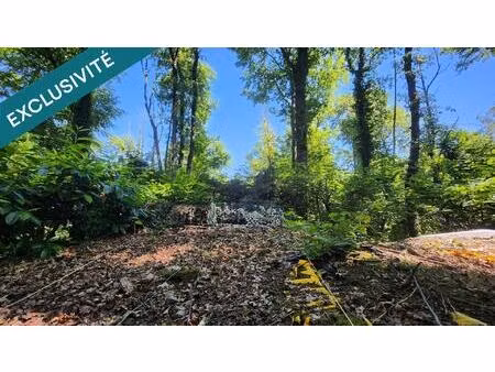 vente terrain 61610 m² cazaubon (32150)