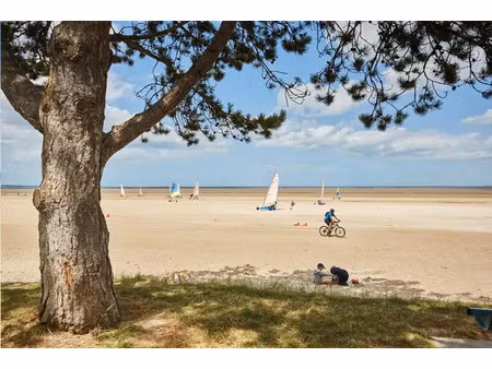 vente terrain à cherrueix (35120) : à vendre / 290m² cherrueix