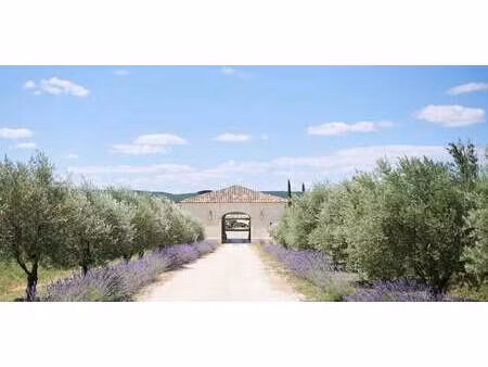 maison avec piscine et jardin uzès (30)