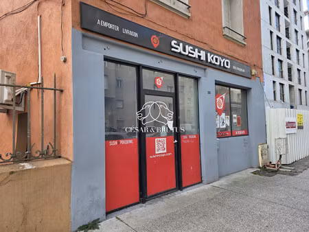 immobilier professionnel à louer villeurbanne