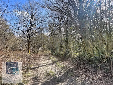 broons - domaine forestier