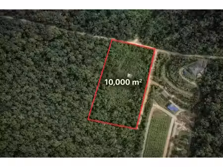 terrain à vendre roura 10000m2 90 000€