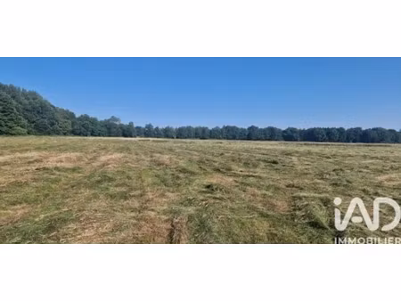 terrain agricole à velles (36330)