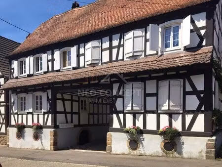 charmant appartement 2 pièces au coeur du village de hoffen