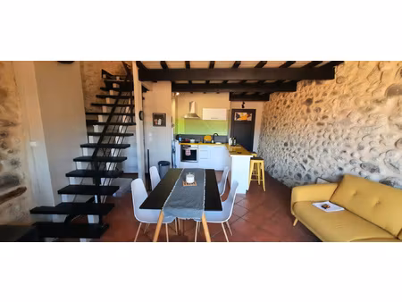 appartement type loft ceret centre ville 66 vallespir espagn