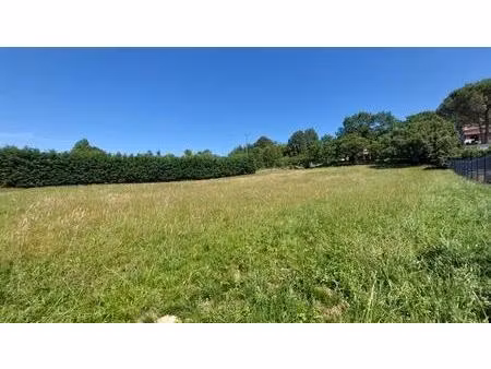 terrain constructible