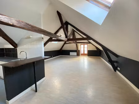 appartement 2 pièces type loft - hyper centre de bourges