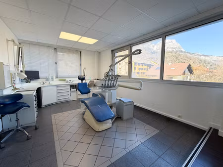 achat local professionnel 96m² sallanches 74700