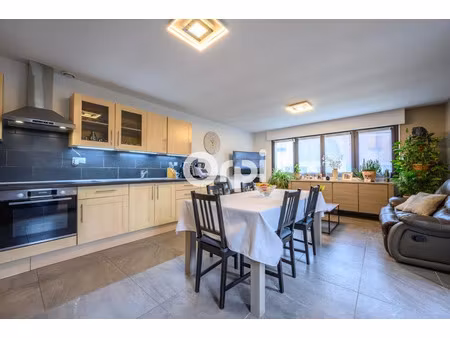 vente maison 3 pièces 54 m² à hasnon (59178)  155 000 €