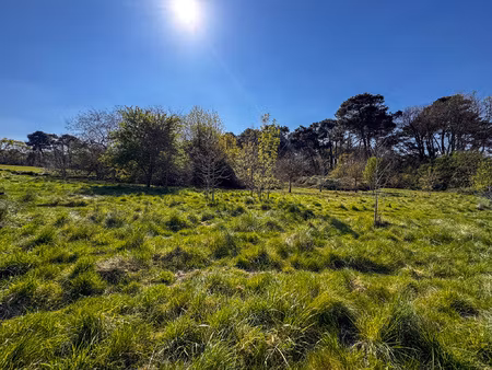 achat terrain 3 005m² eysines 33320