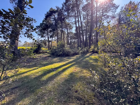 achat terrain 3 006m² eysines 33320