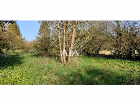 vente terrain 1275 m² barro (16700)