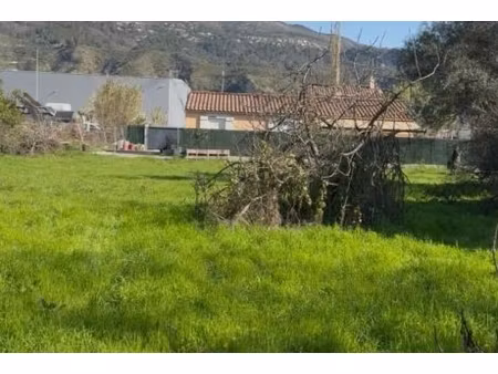 annonce terrain à vendre