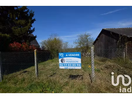 terrain à bâtir à baugé en anjou (49150)