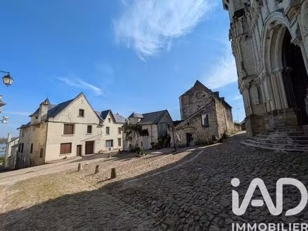 maison de village à candes-saint-martin (37500)