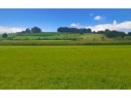 64270 labastide villefranche terrain constructible 5000 m2 à 10 mn bidache