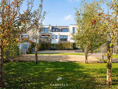 appartement te koop in ruien met 1 slaapkamer