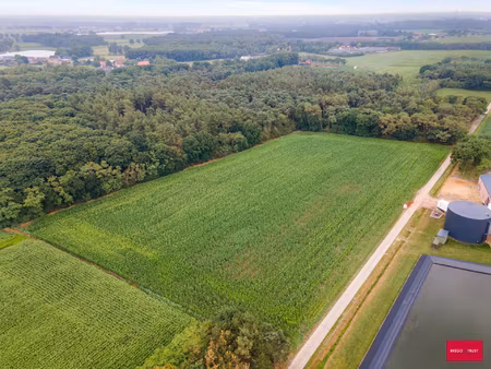 grond te koop in minderhout