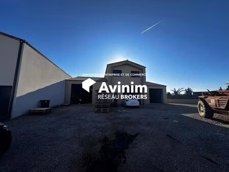 vente entrepôt maraussan 34370 445m²