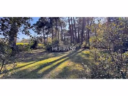 terrain eysines (33)