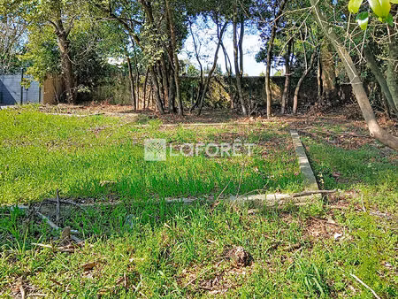 terrain constructible lattes