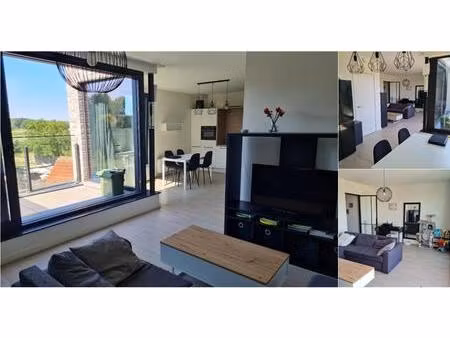 appartement à louer à oude baan 27 zandhoven (rbv55624)