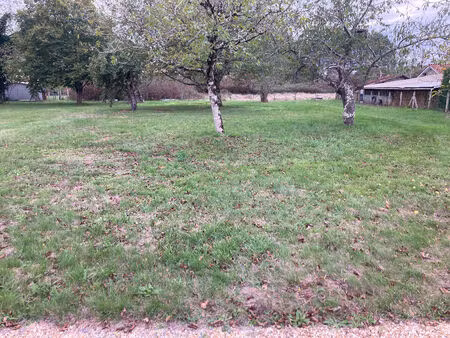 vente terrain 1000 m² coutras (33230)