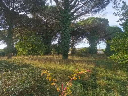 vente terrain 1020 m² saint-maixant (33490)