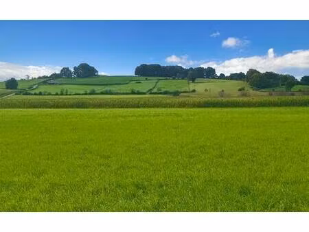 64270 labastide villefranche terrain constructible 5000 m2 à 10 mn bidache